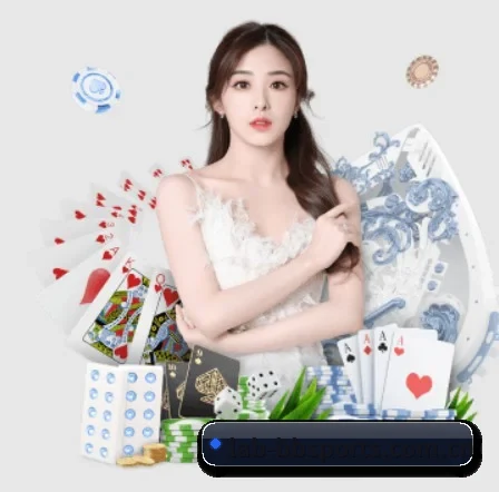 持续创新